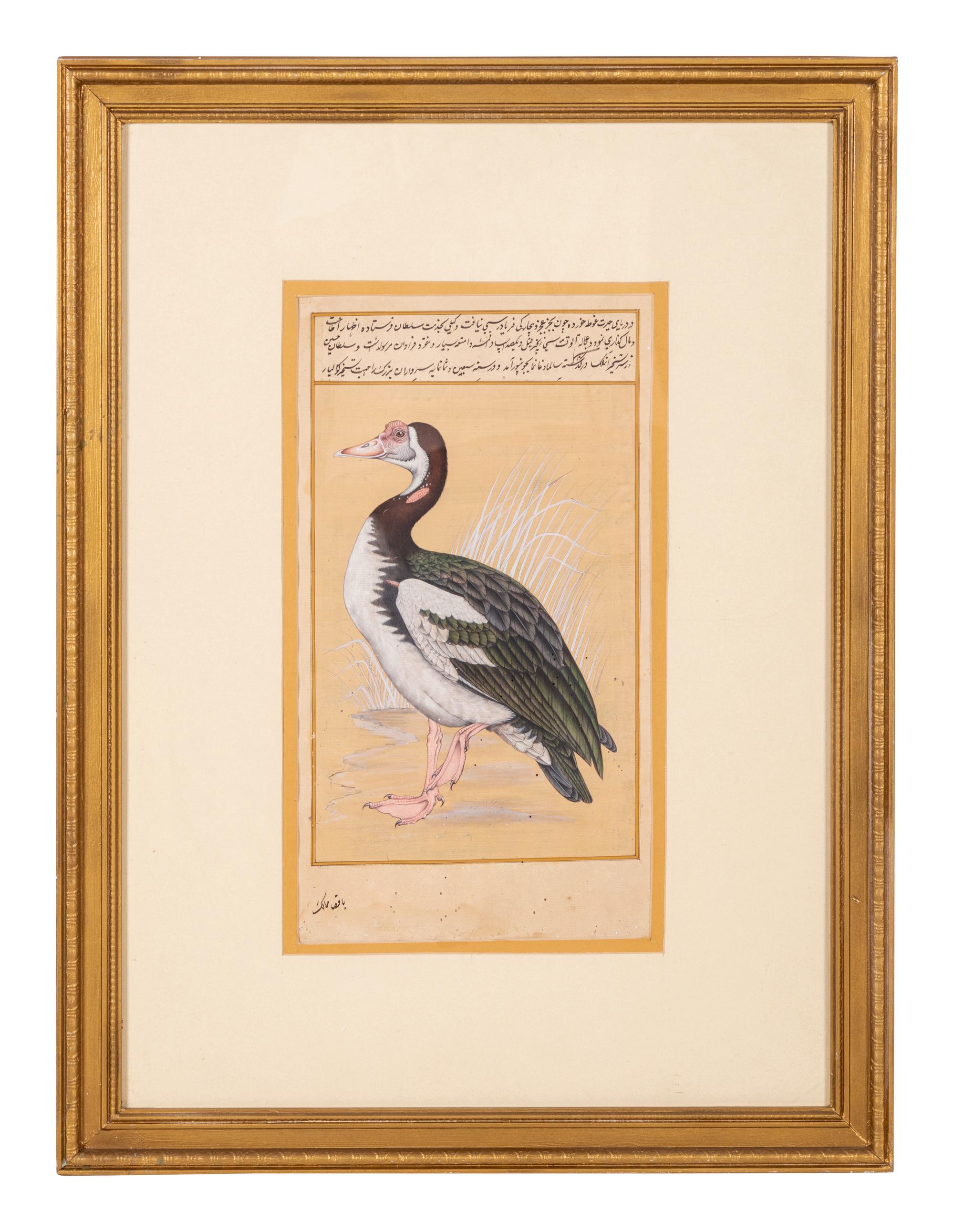 Four Indian and Islamic Miniature Paintings Depicting Birds