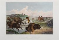 Indians Hunting the Bison