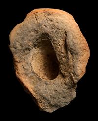 A Roman Terracotta Grotesque Head