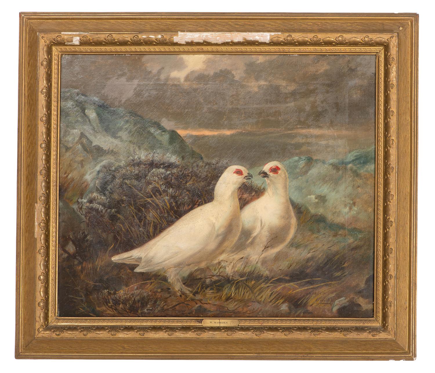 Pair of Doves