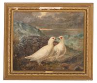 Pair of Doves