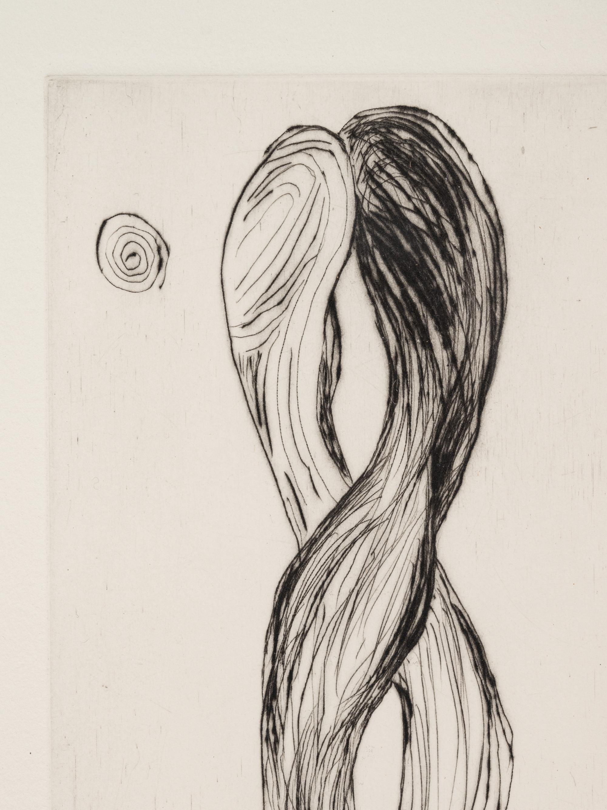 Untitled, no. 3 of 12 (Attempt at Meeting ; Hair) (from Anatomy)