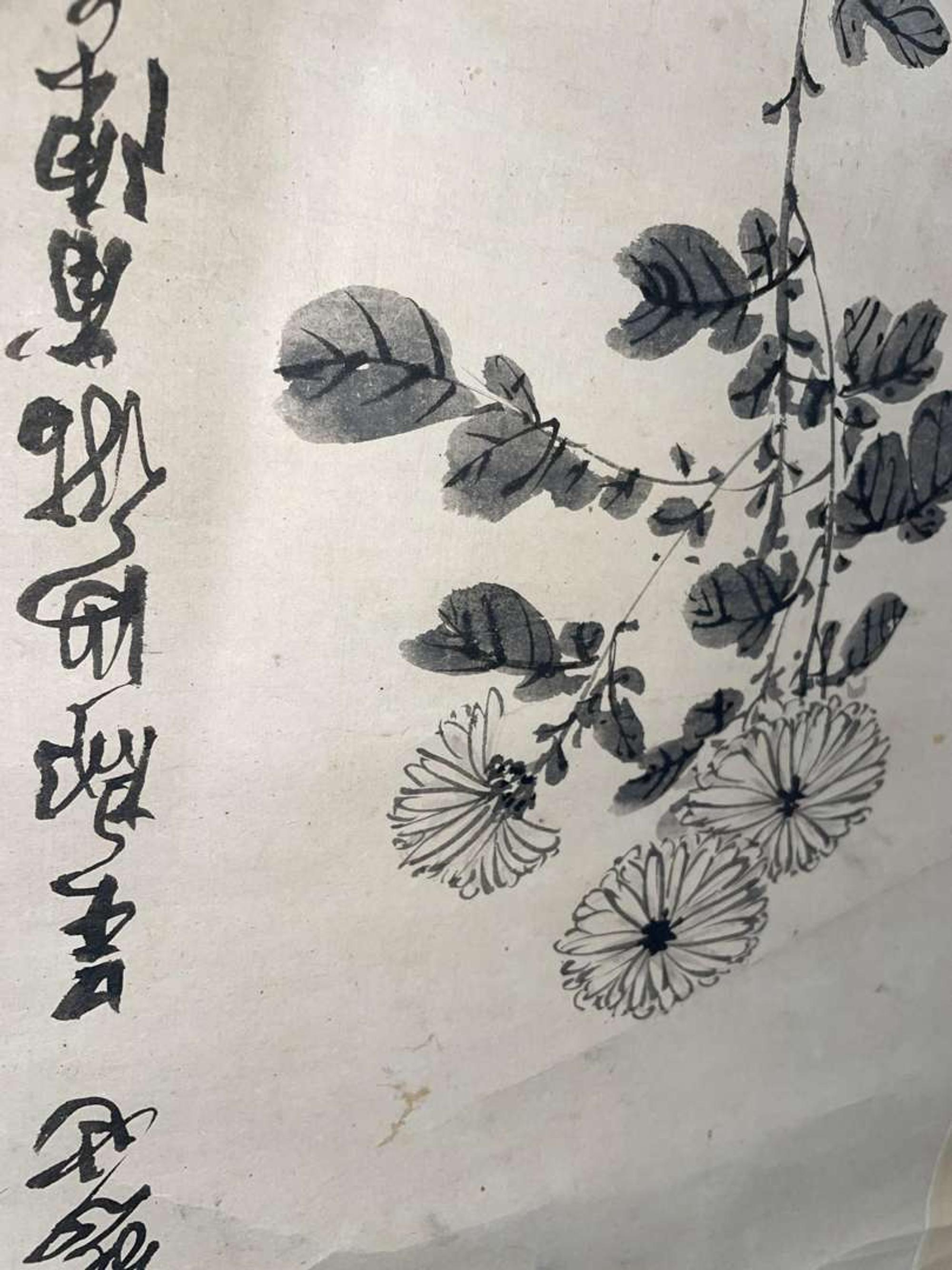 Chen Zun 陈遵 菊图 (Chinese)