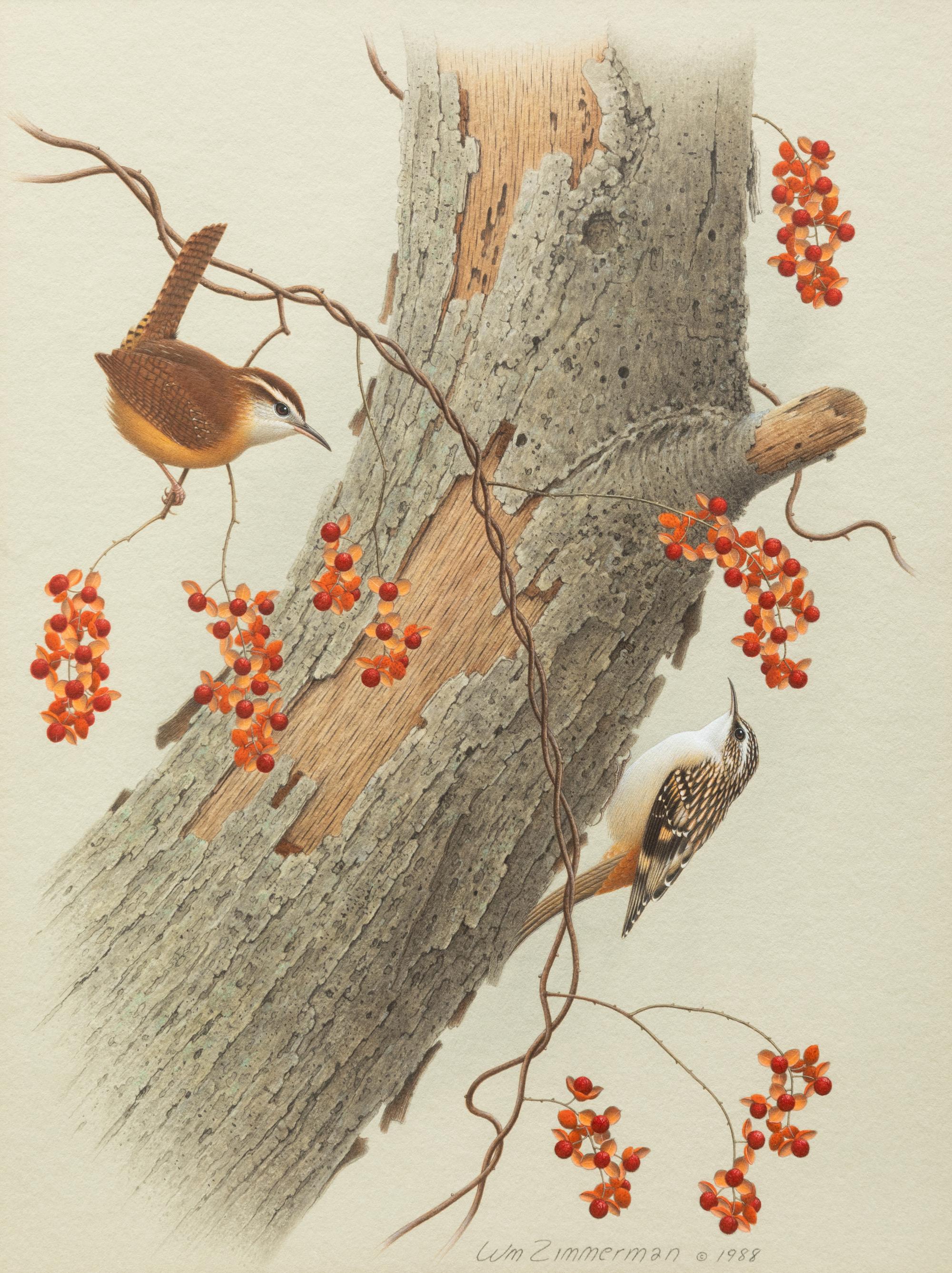 Group of Nine Works, American Bird Series, 1988