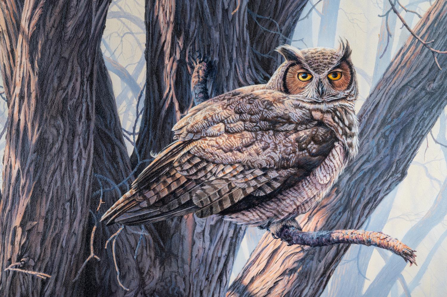 Great Horned Owl