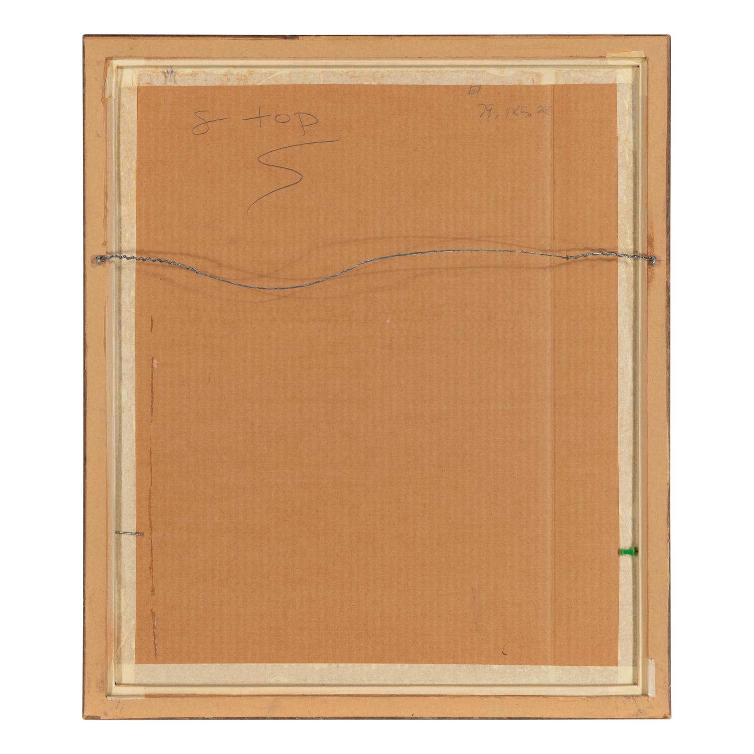 A Son of the Desert - Navajo , Plate 32