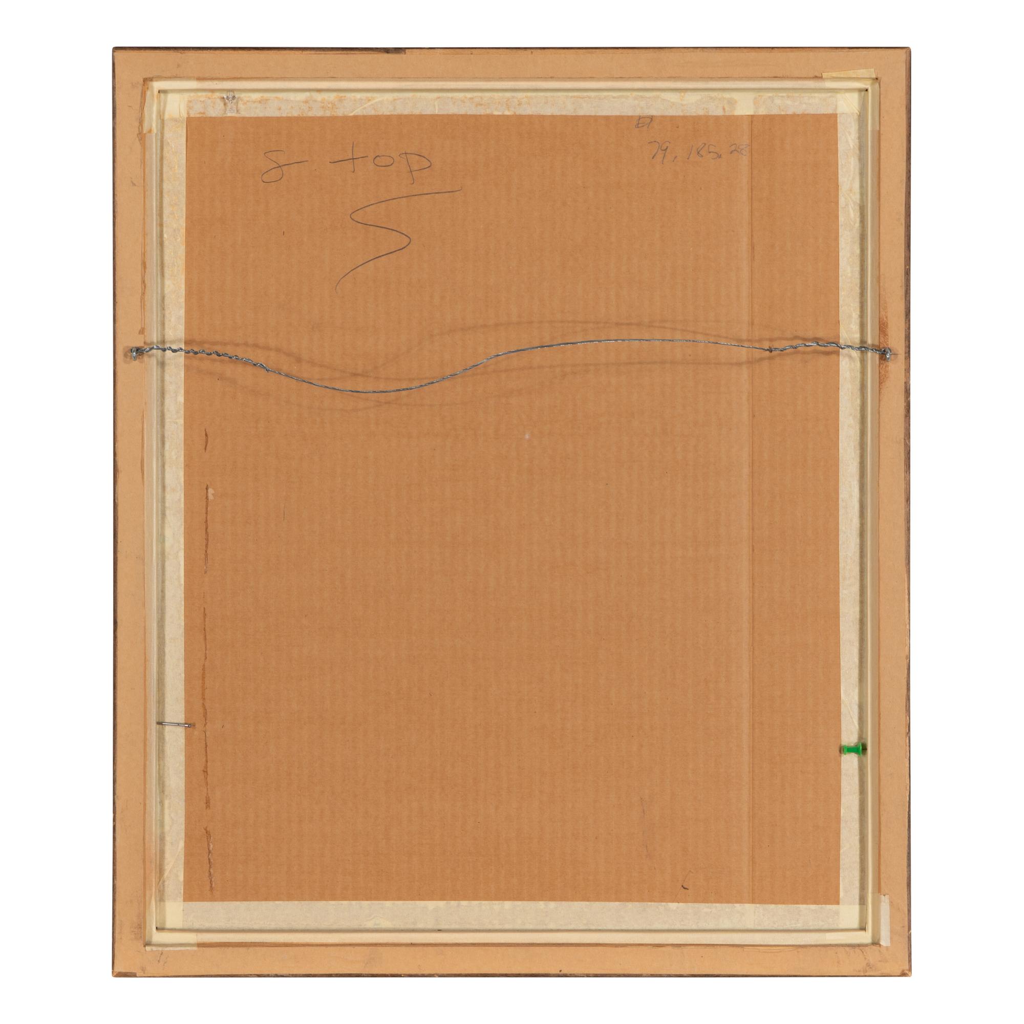 A Son of the Desert - Navajo , Plate 32
