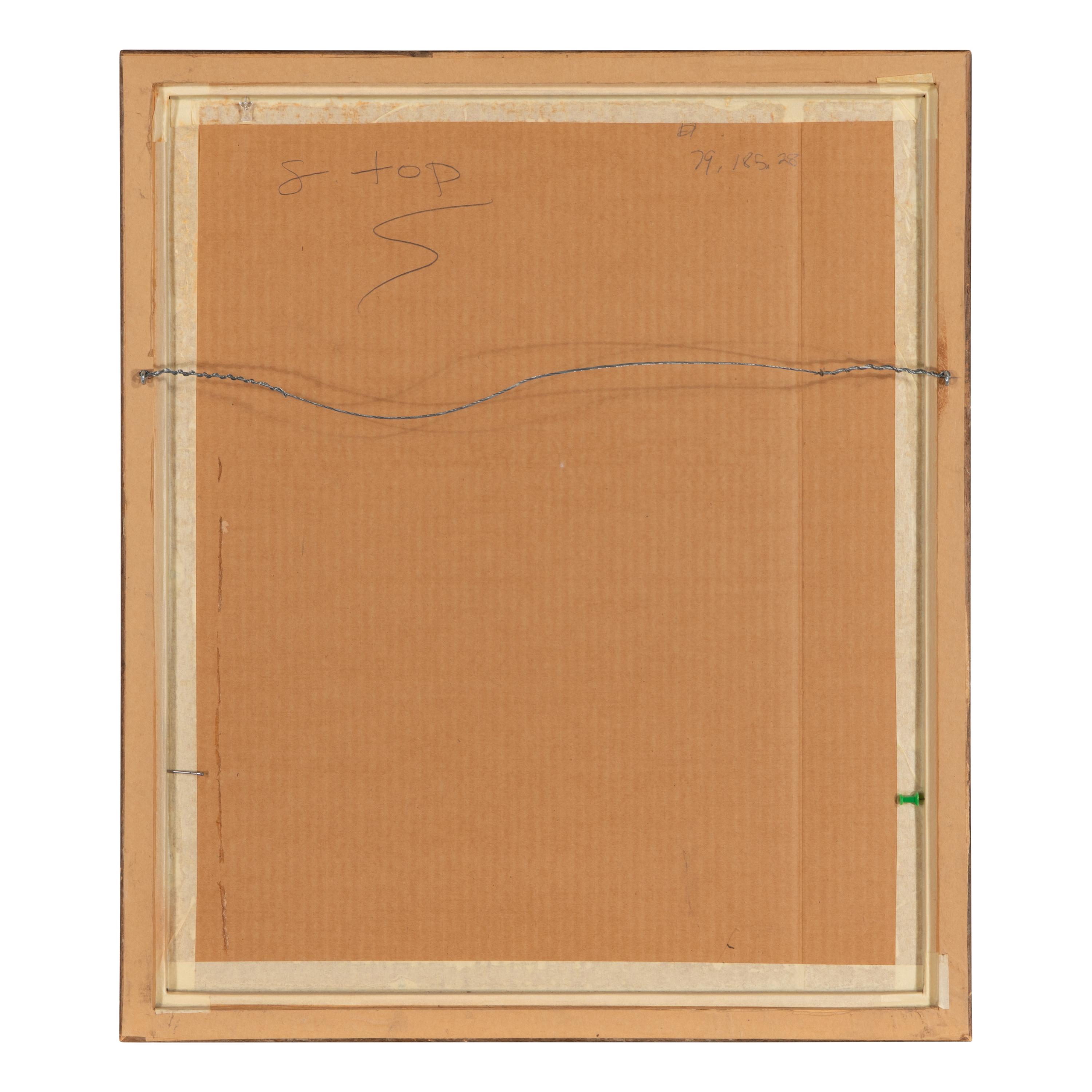A Son of the Desert - Navajo , Plate 32