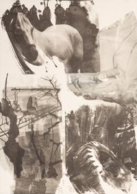 Horse Silk (from Night Sights)