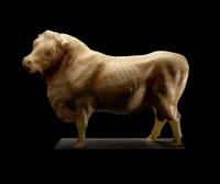 A Roman Alabaster Bull