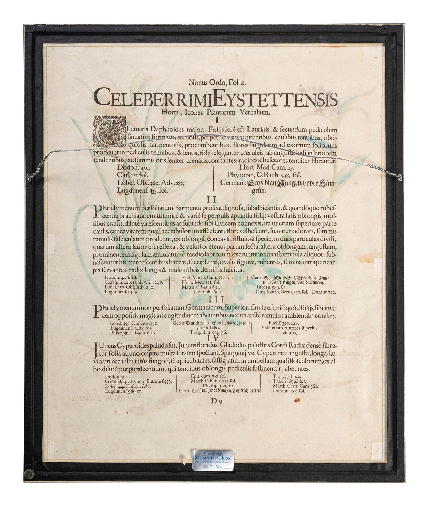Three Hand-Colored Botanical Engravings