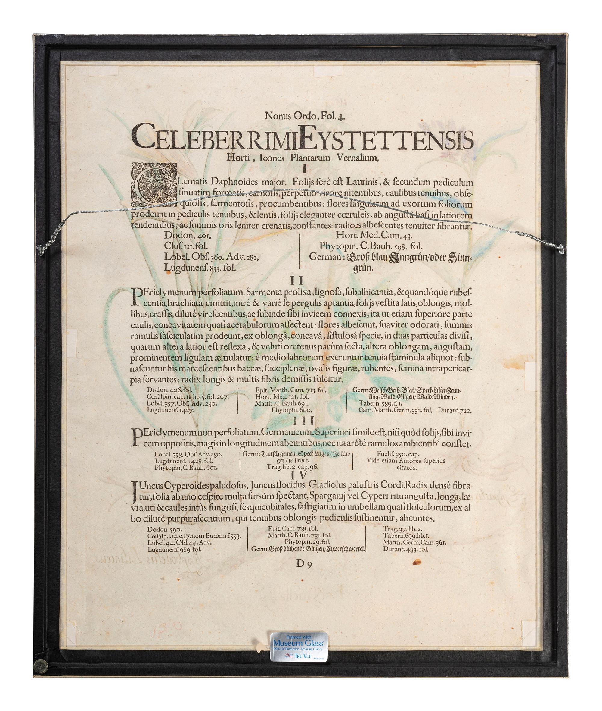 Three Hand-Colored Botanical Engravings