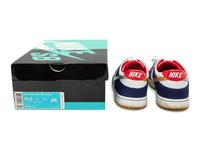 SB Dunk Low Pro Ishod Wair QS