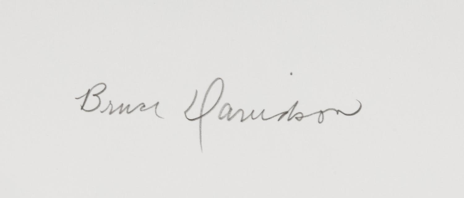 Bruce Davidson (born 1933) Near Selma, Alabama, from "Time of Change,"1965