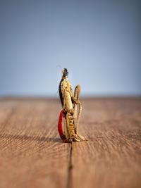 Cheyenne Hide Doll Amulet