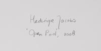 Open Pool , 2008