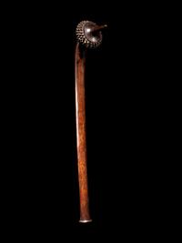 A Fiji Pineapple Club or Totokia