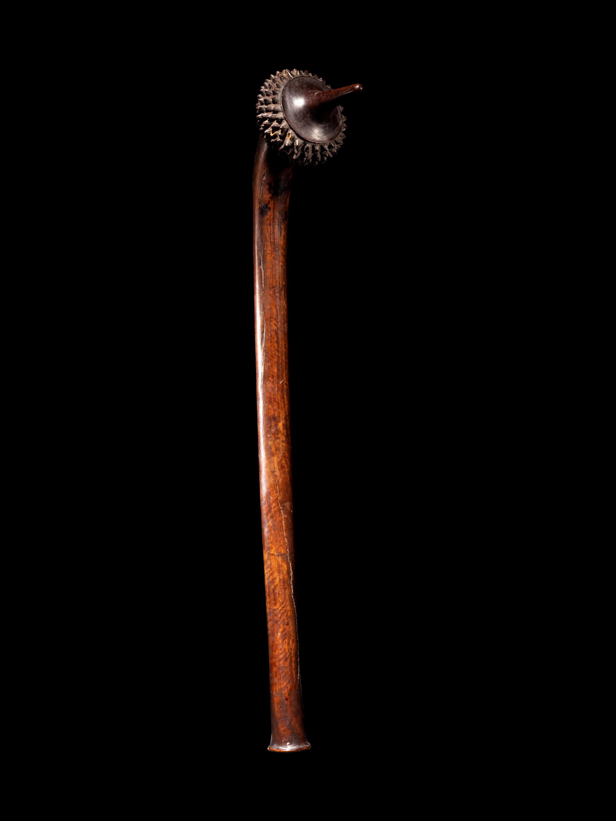 A Fiji Pineapple Club or Totokia