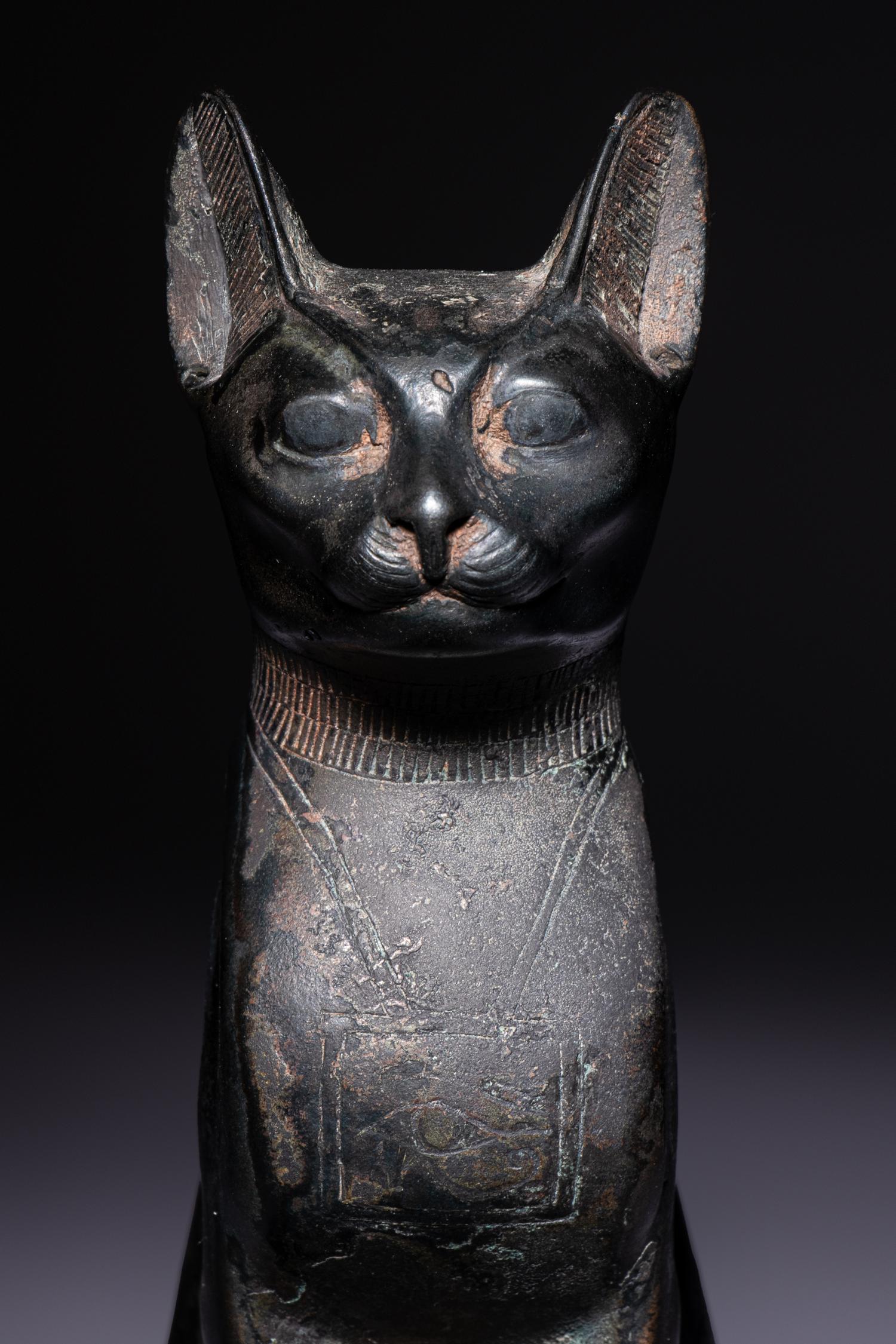 An Egyptian Bronze Cat