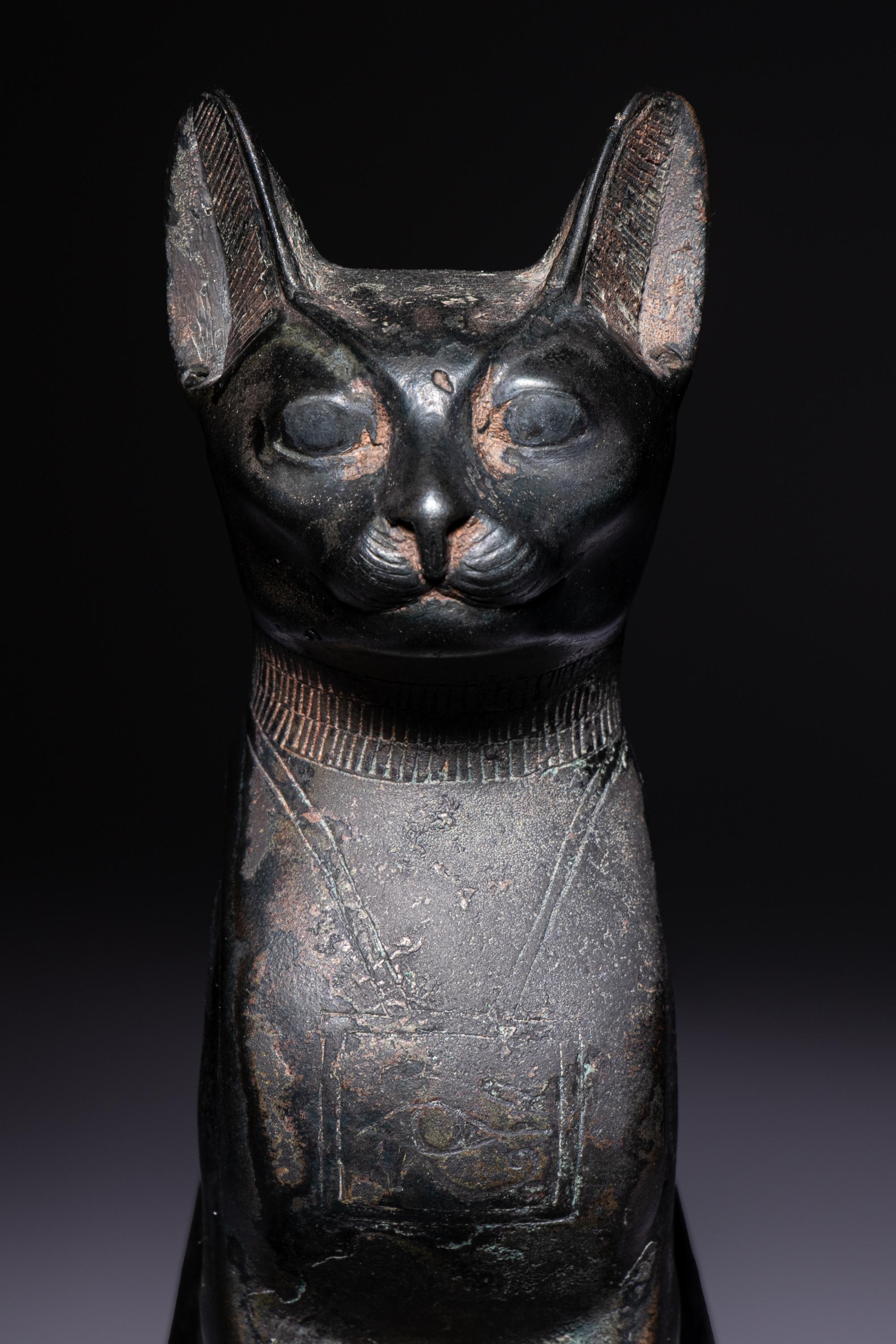 An Egyptian Bronze Cat