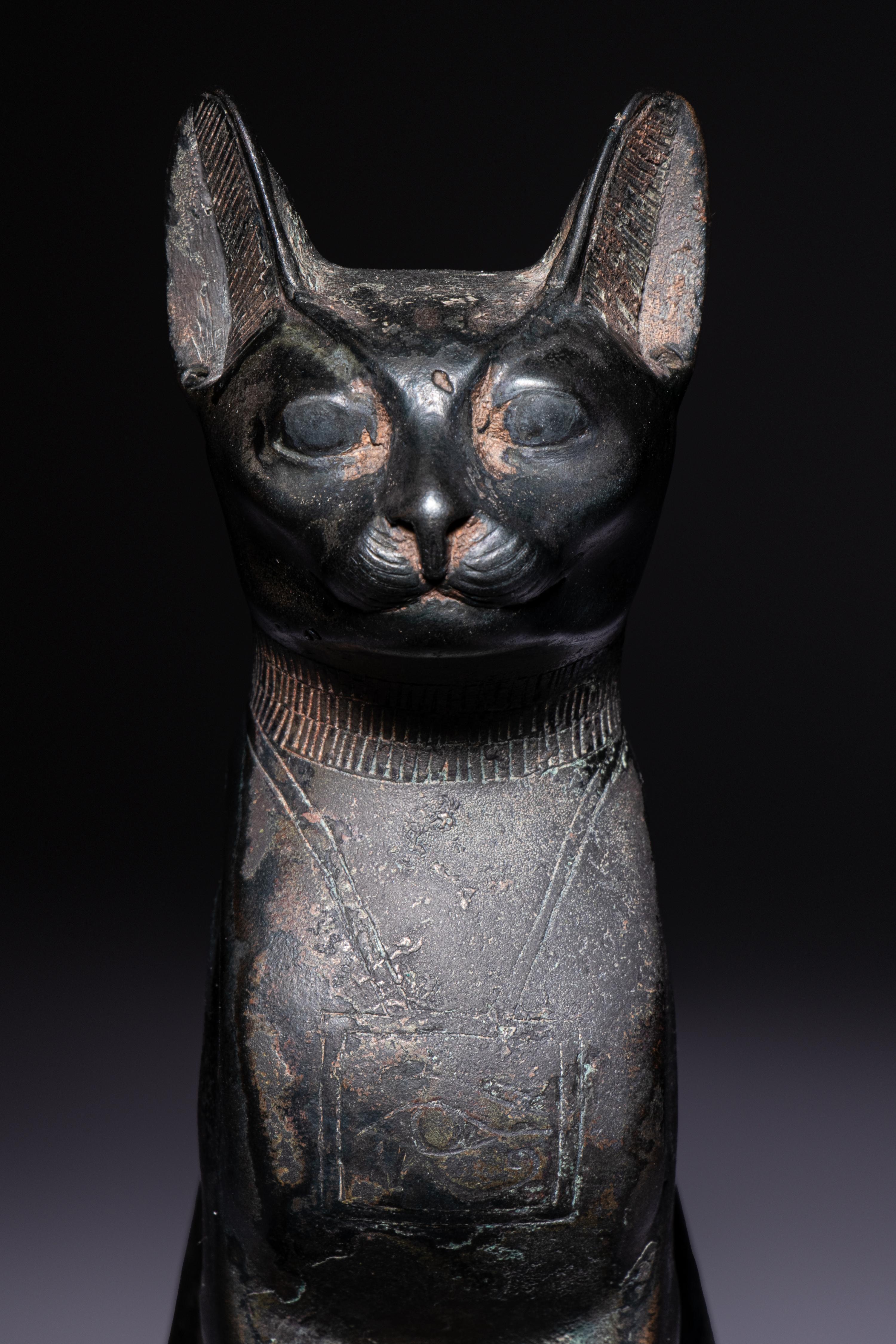 An Egyptian Bronze Cat