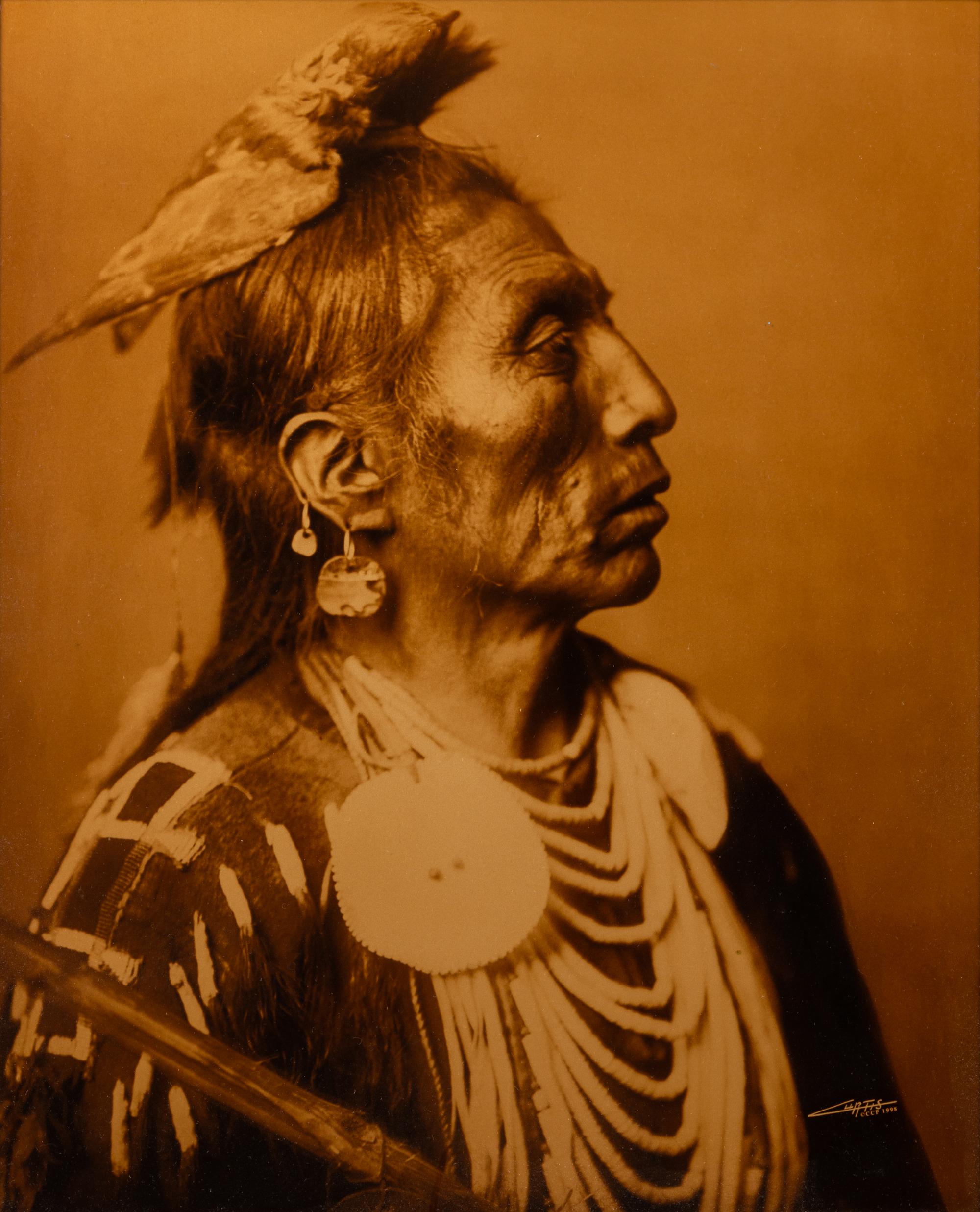 Medicine Crow - Apsaroke