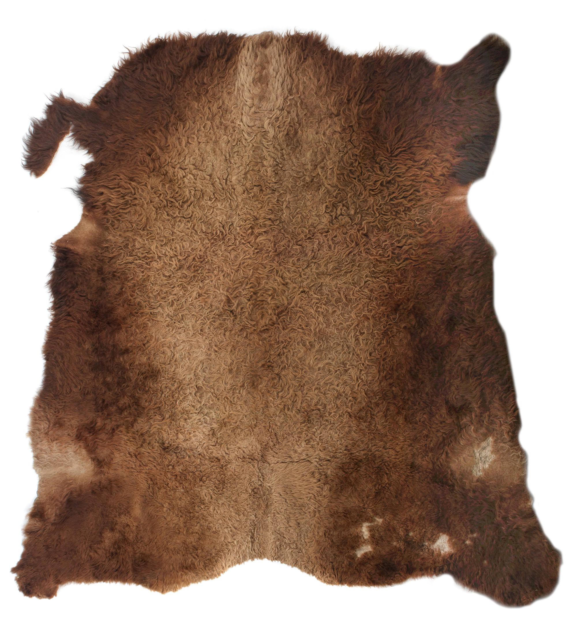 A Northern Plains Buffalo Robe First: approximately 82 x 65 inches.