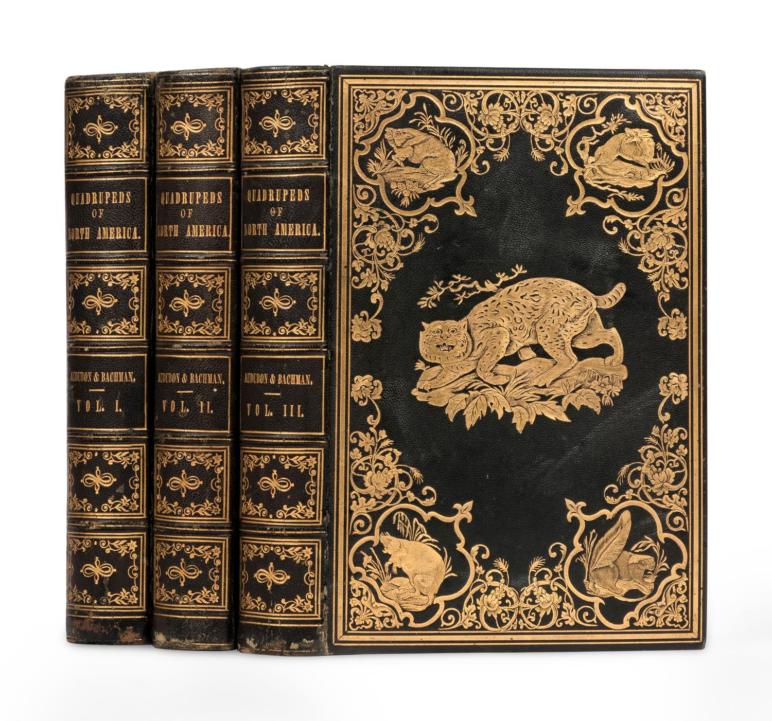 AUDUBON, John James (1785-1851) and John BACHMAN (1790-1874). The Quadrupeds of North America. New York: V.G. Audubon, 1849, 1851, 1854.