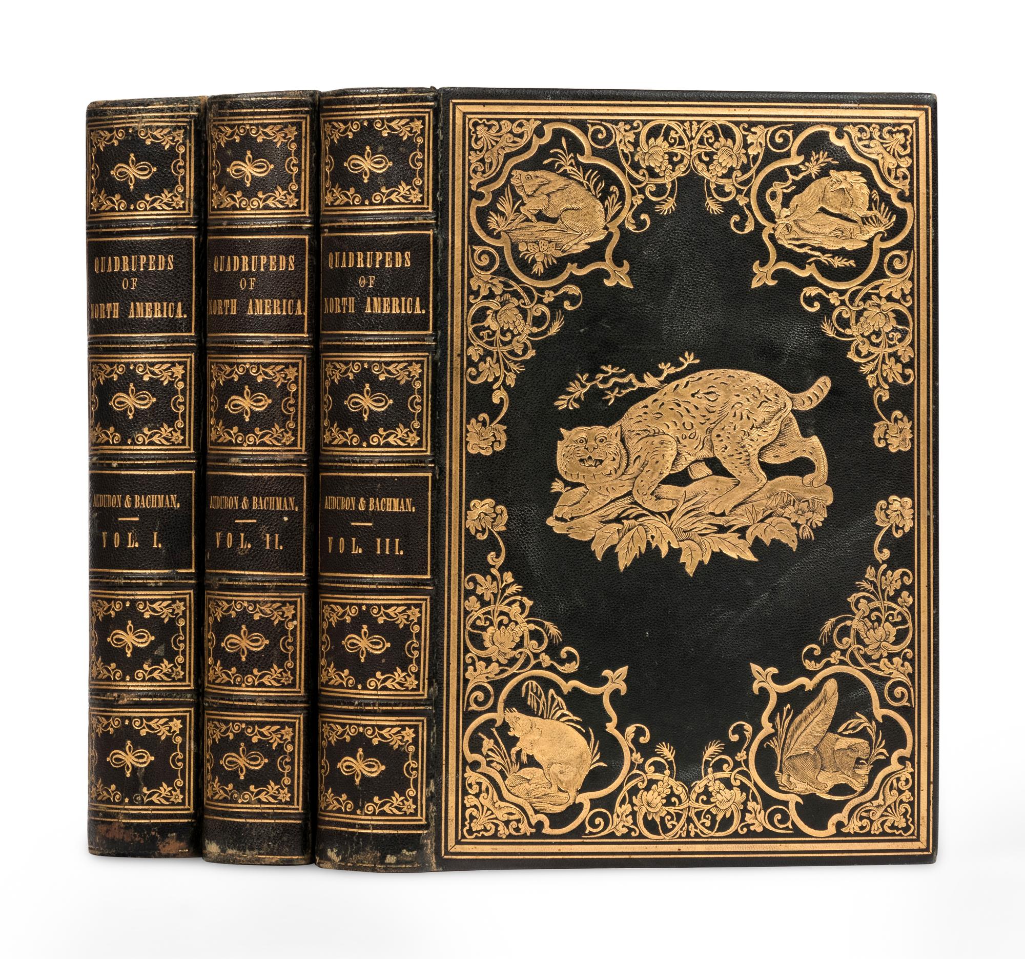 AUDUBON, John James (1785-1851) and John BACHMAN (1790-1874). The Quadrupeds of North America. New York: V.G. Audubon, 1849, 1851, 1854.