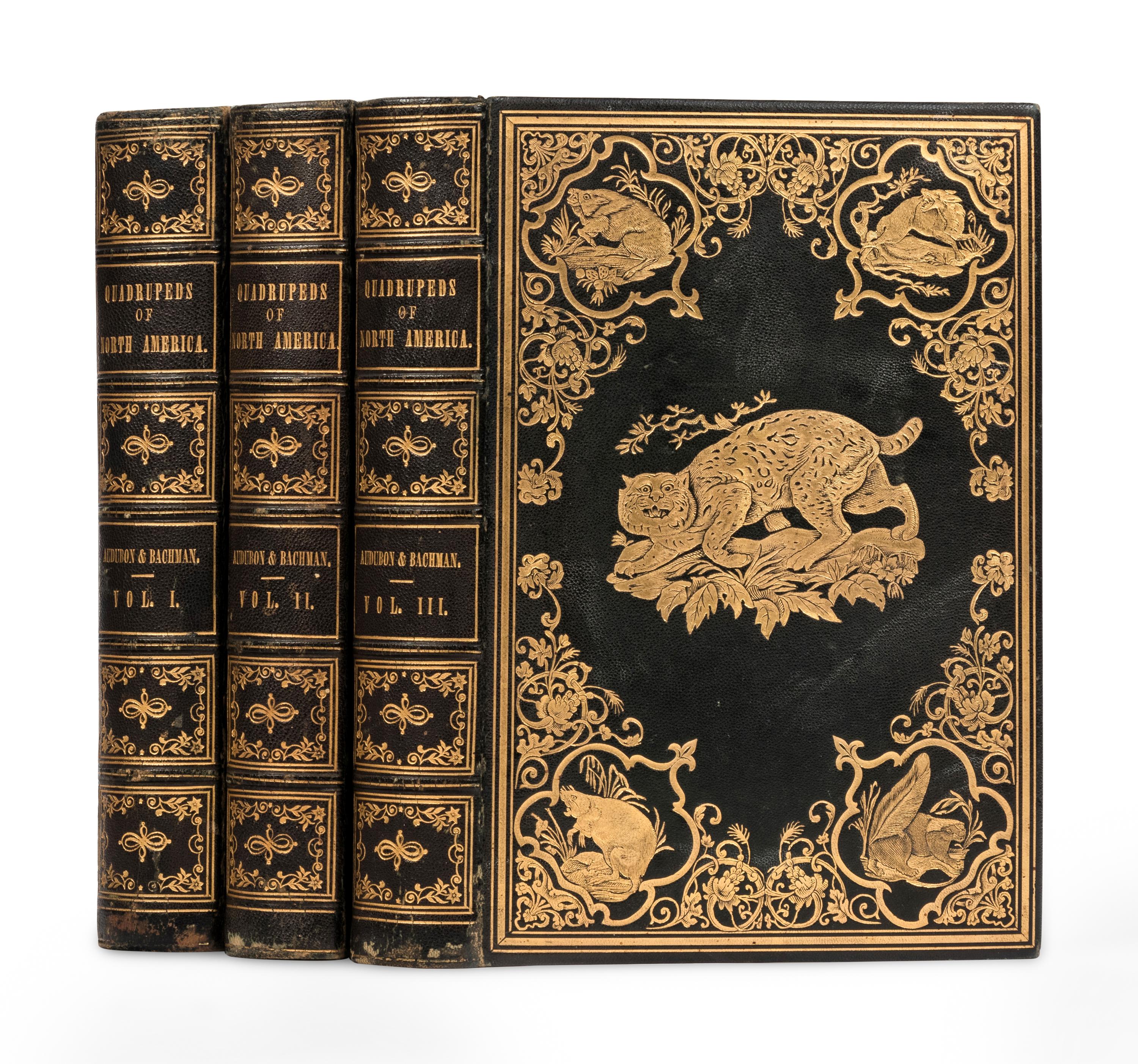 AUDUBON, John James (1785-1851) and John BACHMAN (1790-1874). The Quadrupeds of North America. New York: V.G. Audubon, 1849, 1851, 1854.