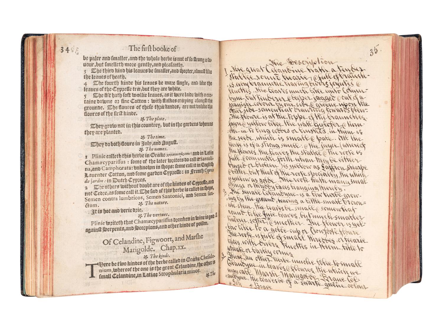 [HERBALS & MATERIA MEDICA]. A group of 8 works, comprising:
