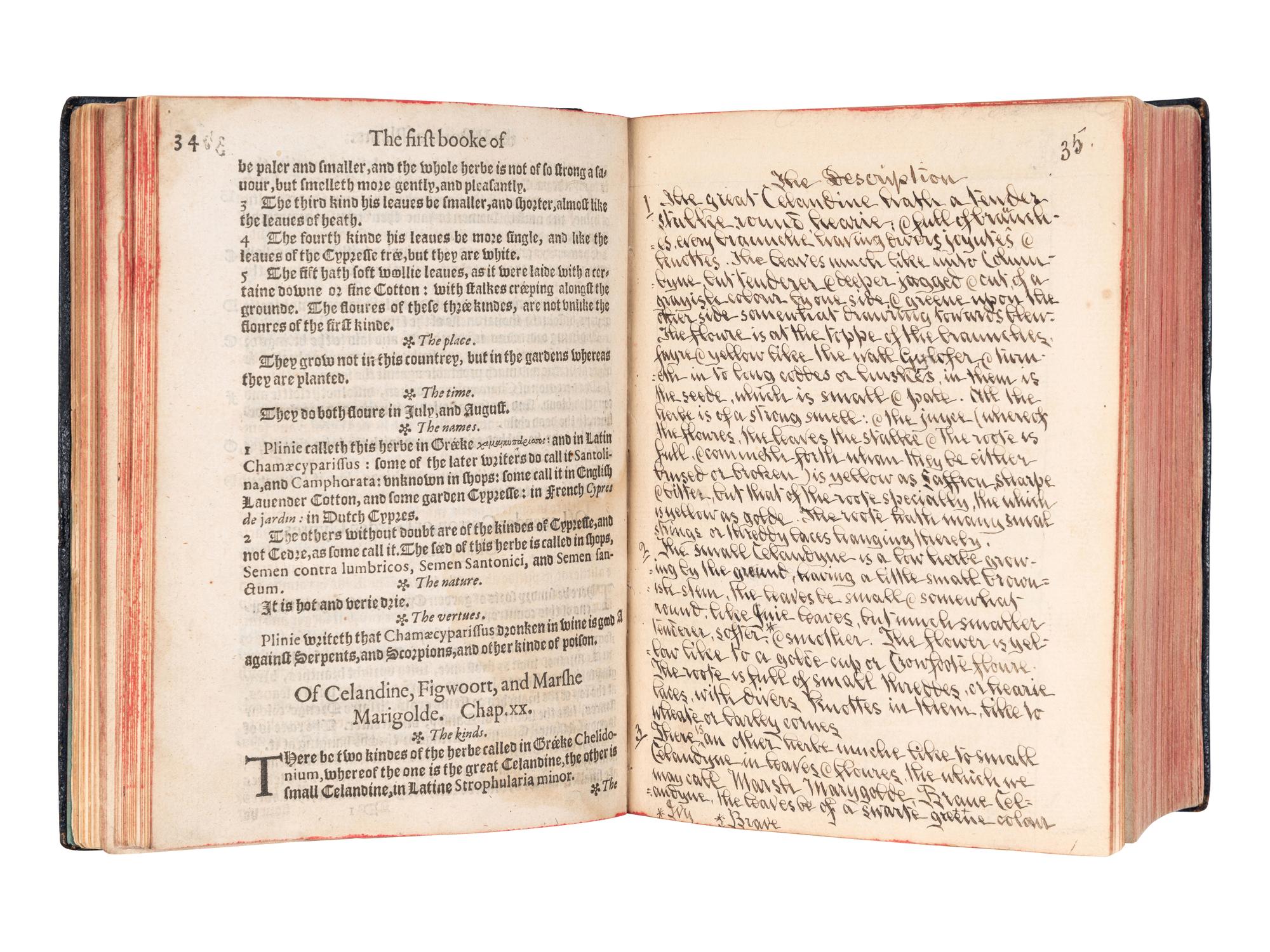 [HERBALS & MATERIA MEDICA]. A group of 8 works, comprising: