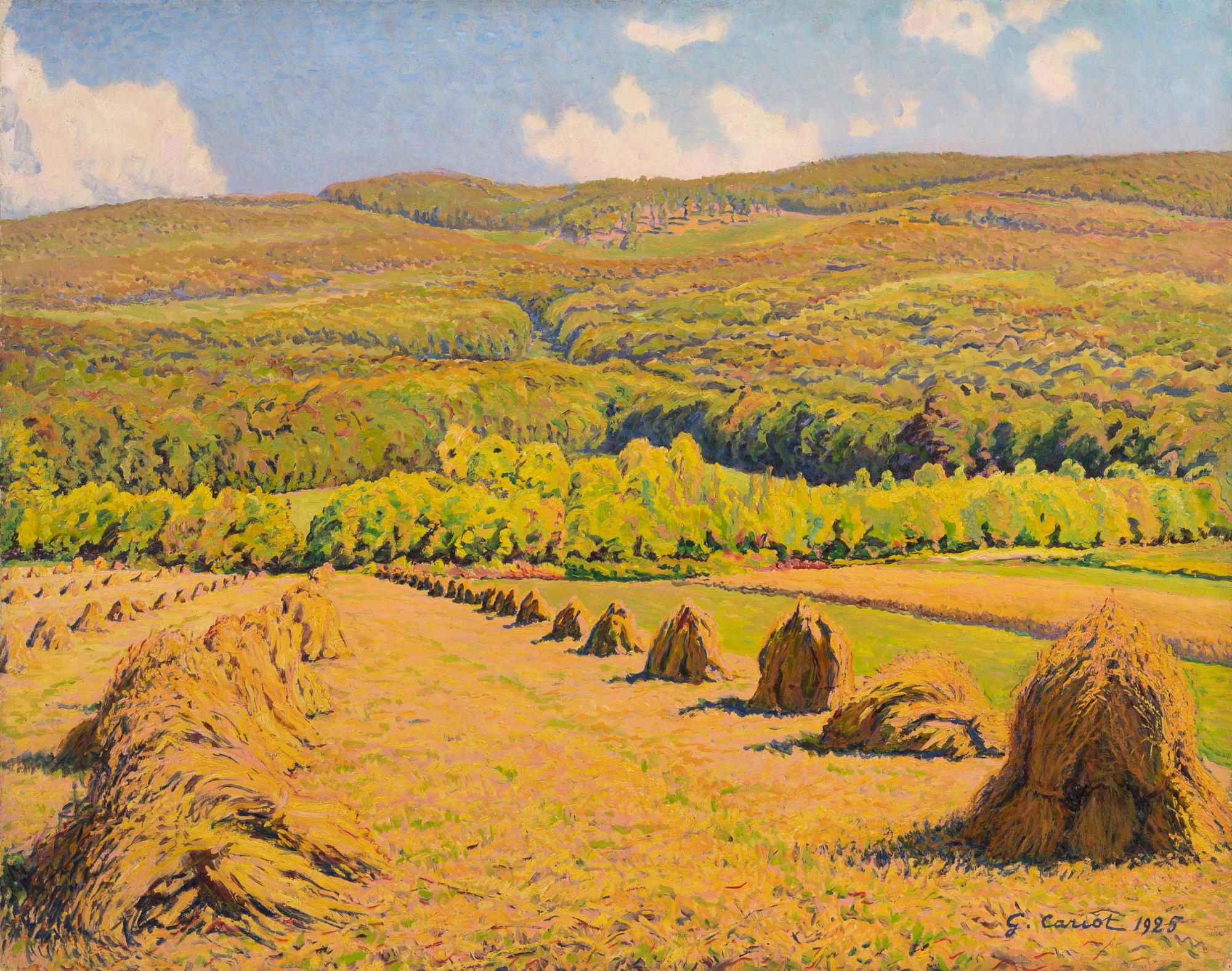 Meules de foin