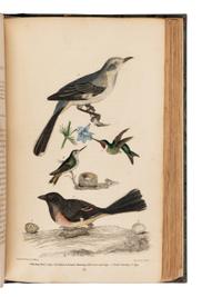 [Natural History] Wilson, Alexander, and Charles Lucian Bonaparte, and Sir William Jardine. American Ornithology; or, The Natural History of the Birds of the United States