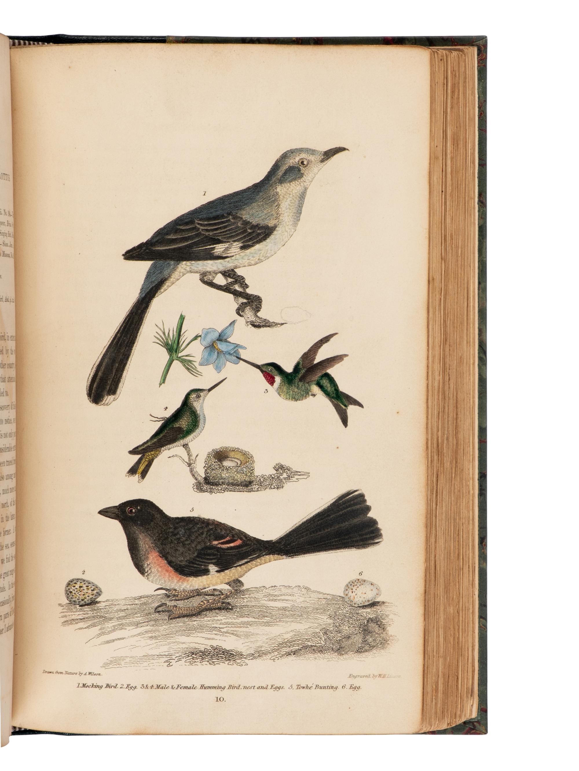 [Natural History] Wilson, Alexander, and Charles Lucian Bonaparte, and Sir William Jardine. American Ornithology; or, The Natural History of the Birds of the United States