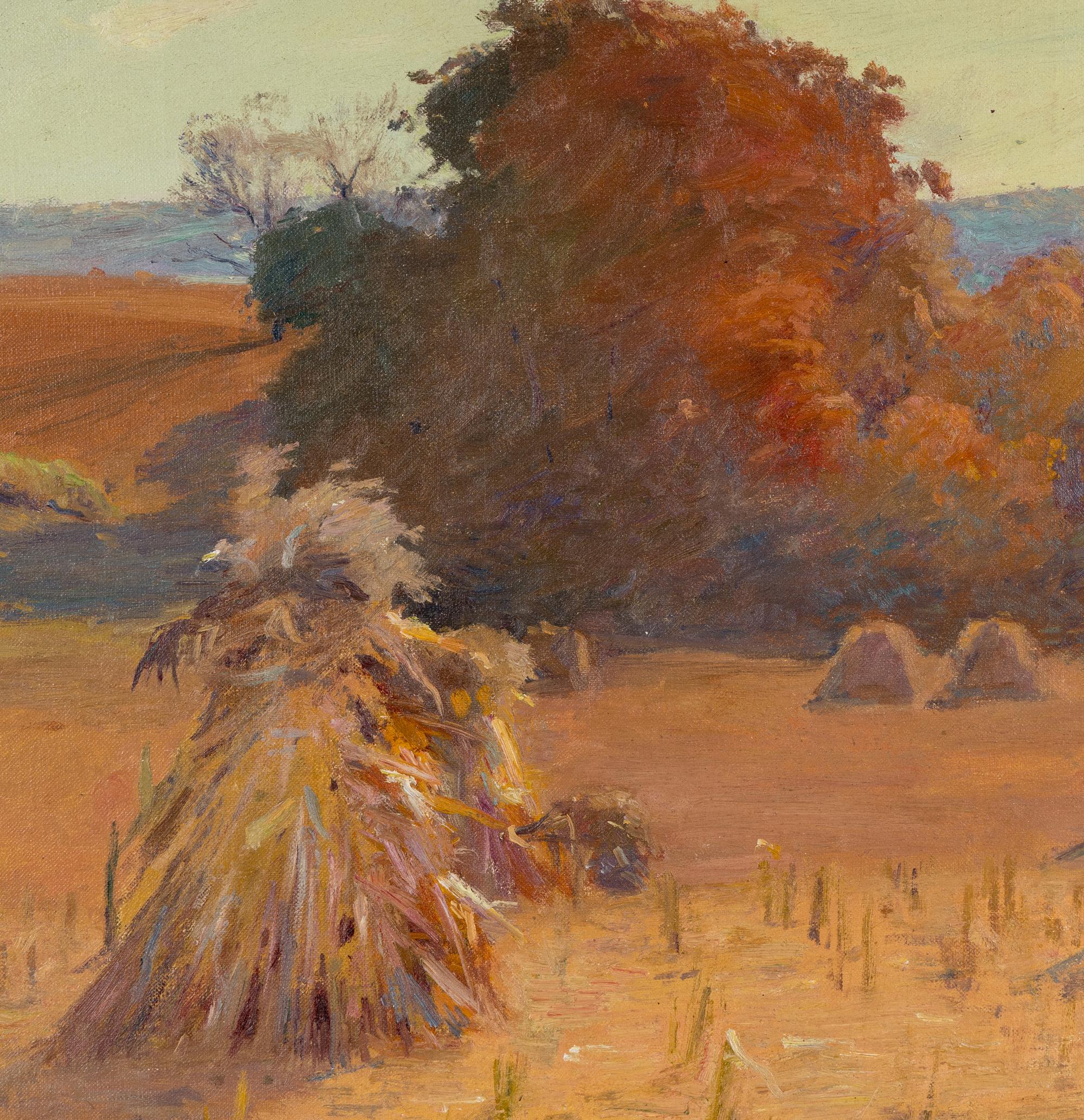 Cornshock (Saffron Sky)