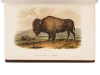 Audubon, John James, and John Bachman. The Quadrupeds of North America
