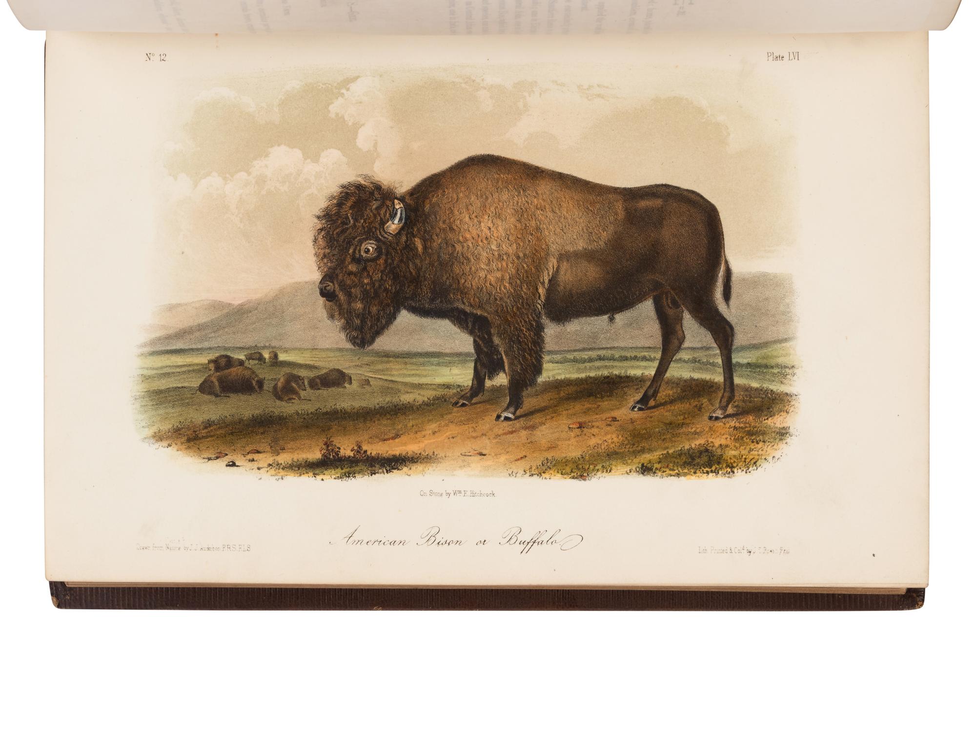 Audubon, John James, and John Bachman. The Quadrupeds of North America
