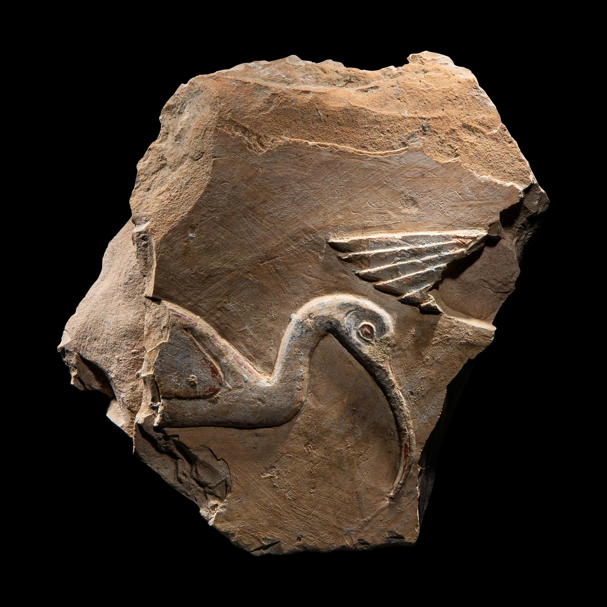 An Egyptian Painted Limestone Relief Fragment with the Head of an Ibis