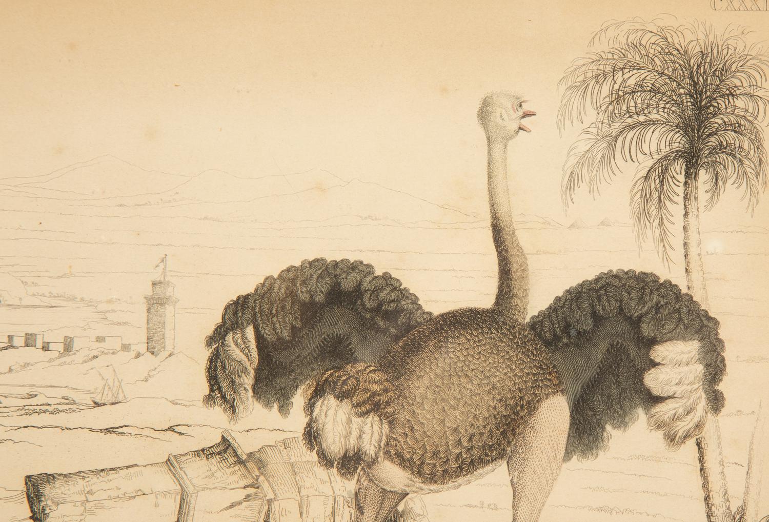 Five Miscellaneous Color Engravings