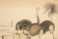 Five Miscellaneous Color Engravings