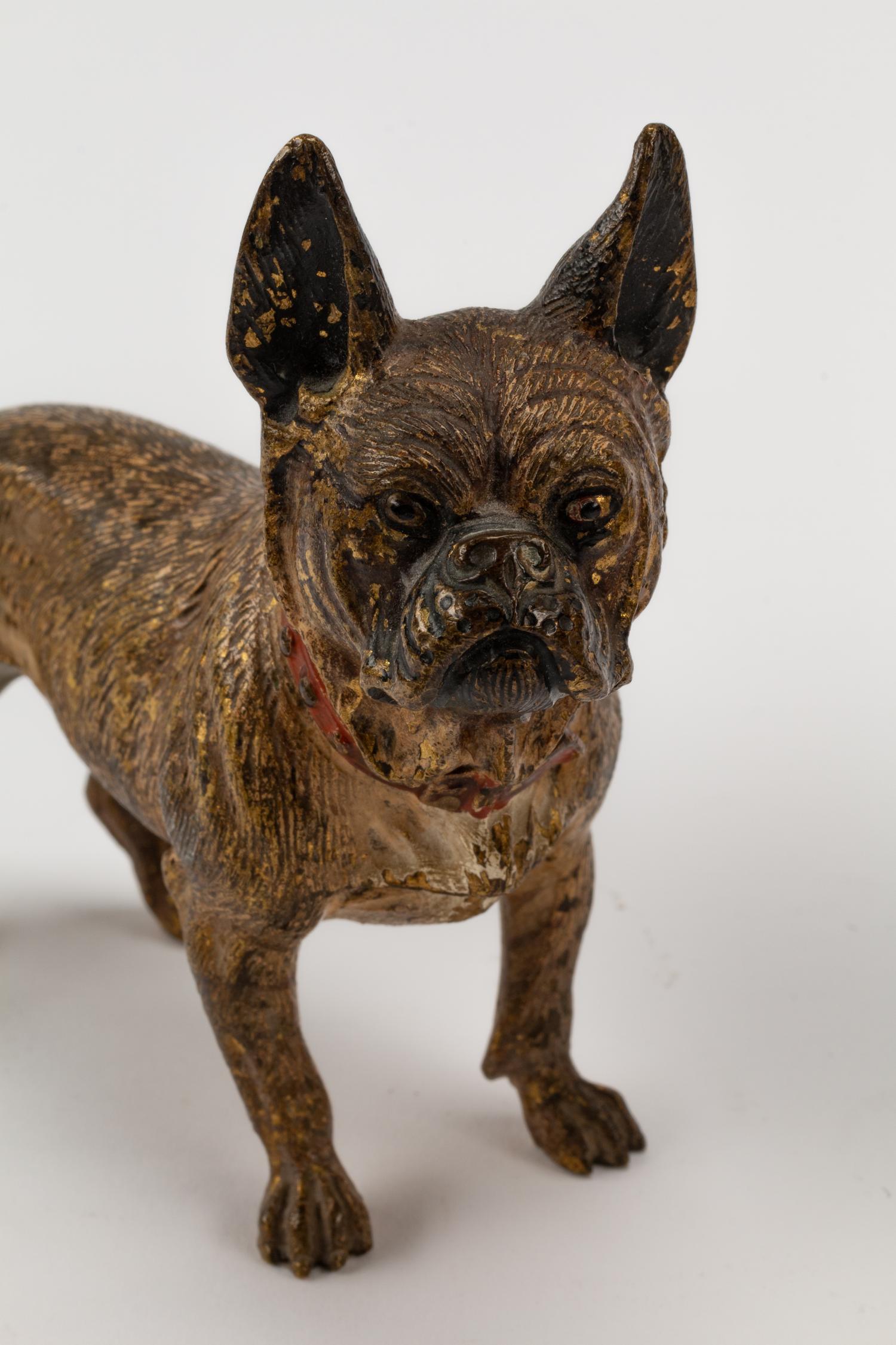 Five Austrian Cold Painted Bronze Dogs
