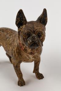 Five Austrian Cold Painted Bronze Dogs