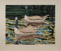 Canadian Geese