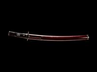 A Wakazashi