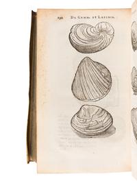 BOODT, Anselmus Boetius de (1550?-1634). Gemmarum et Lapidum Historia . Leiden: Joannis Maire, 1647. [ Bound with :] LAET, Joannis de (1581-1649). De Gemmis et lapidibus libri duo. Quibus praemittitur Theophrasti liber de lapidibus Graece & Latine . Leiden: Joannis Maire, 1647.