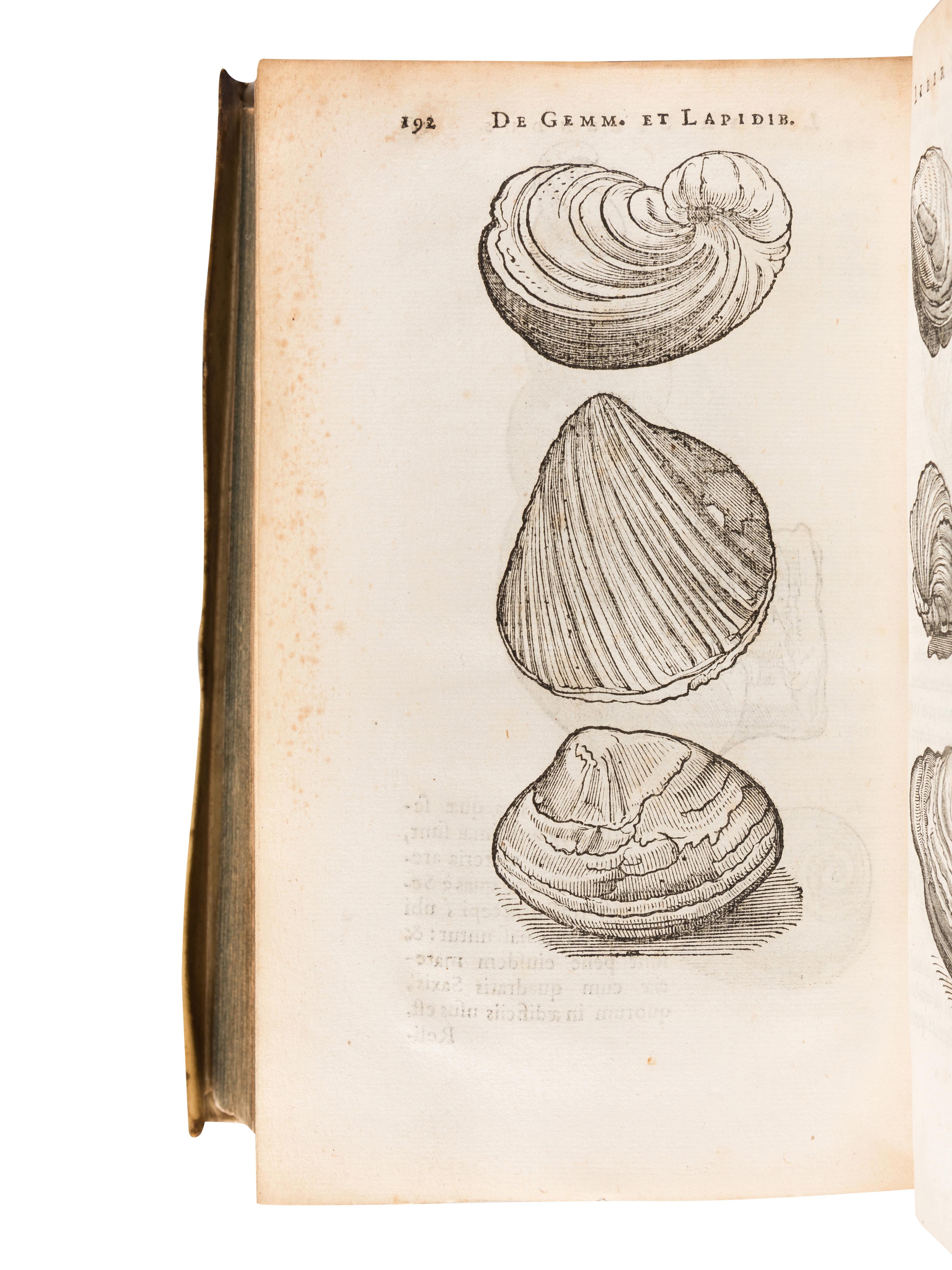 BOODT, Anselmus Boetius de (1550?-1634). Gemmarum et Lapidum Historia . Leiden: Joannis Maire, 1647. [ Bound with :] LAET, Joannis de (1581-1649). De Gemmis et lapidibus libri duo. Quibus praemittitur Theophrasti liber de lapidibus Graece & Latine . Leiden: Joannis Maire, 1647.