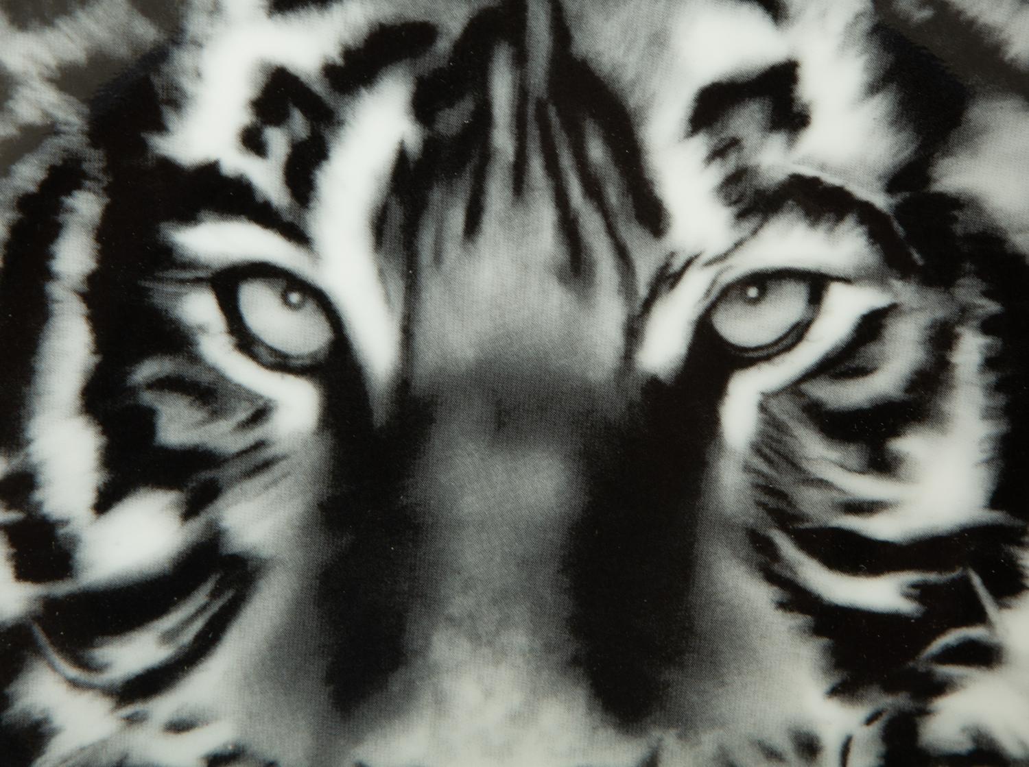 Two Porcelain Art Plates - Robert Longo Tiger Head 2 and Fornasetti Tema e Variazioni Motiv31 — 20th Century