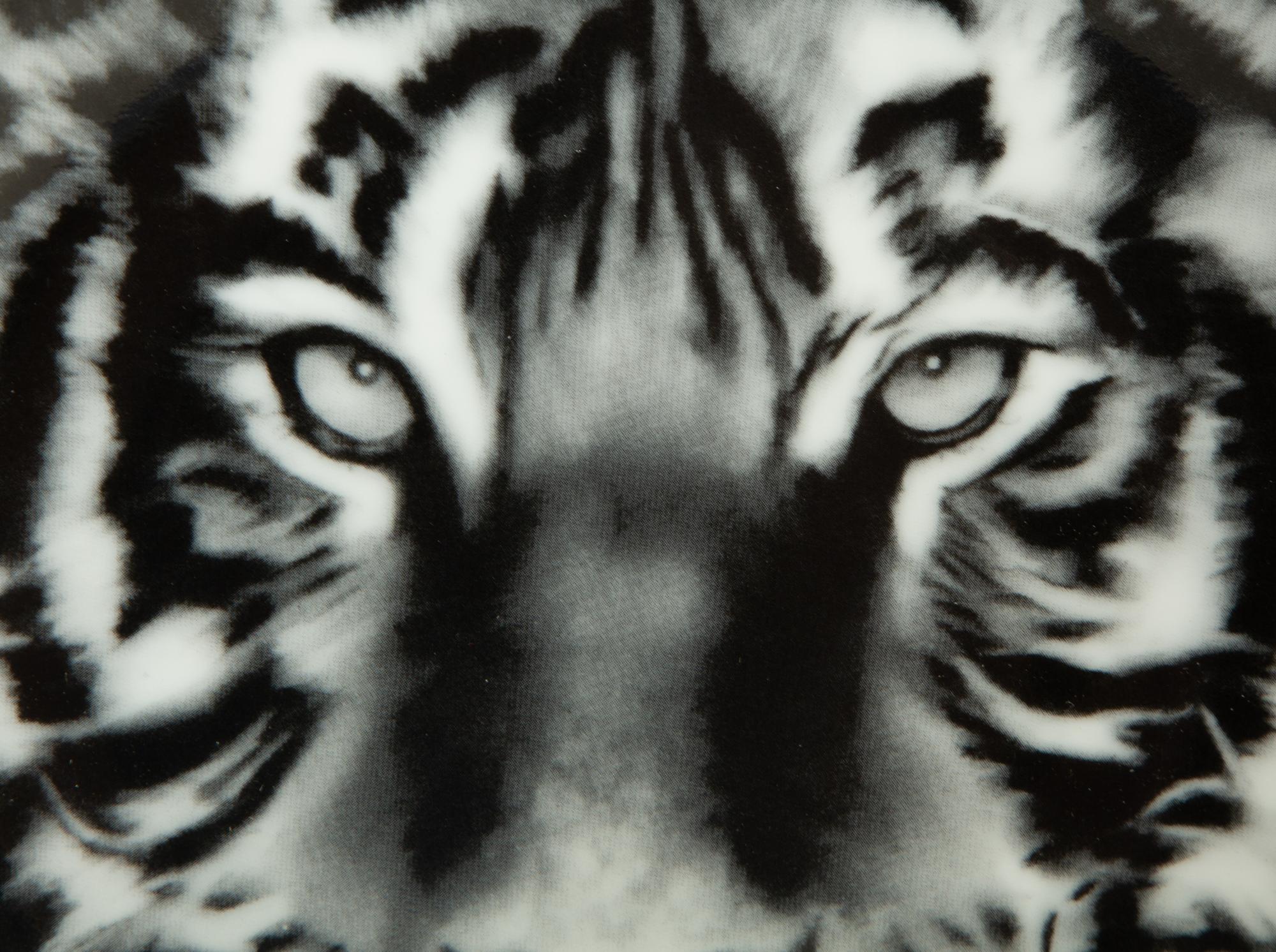 Two Porcelain Art Plates - Robert Longo Tiger Head 2 and Fornasetti Tema e Variazioni Motiv31 — 20th Century