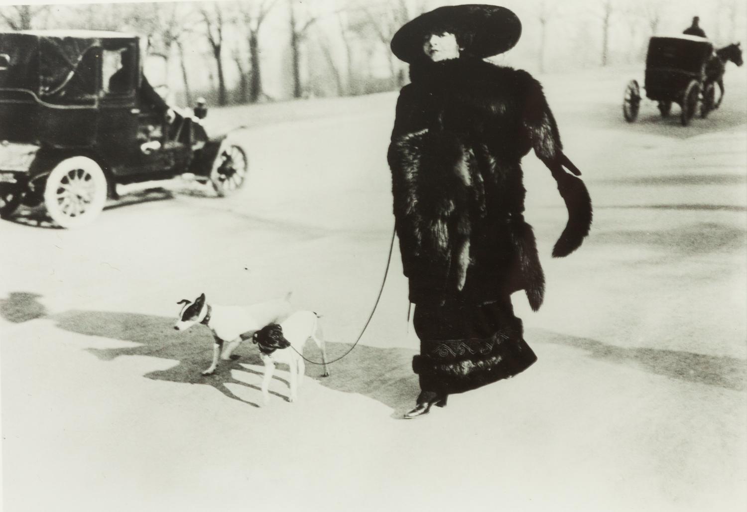 A Group of Three Color Photographs depicting Various Dog Breeds Largest: 19 3/4 x 15 3/4 inches.